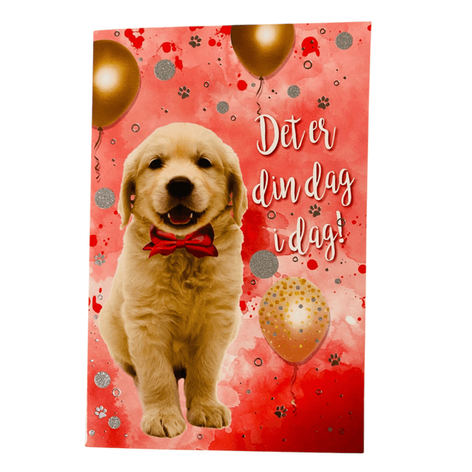 Hovedbilde Gratulasjonskort dobbelt m(konvolutt hund ...